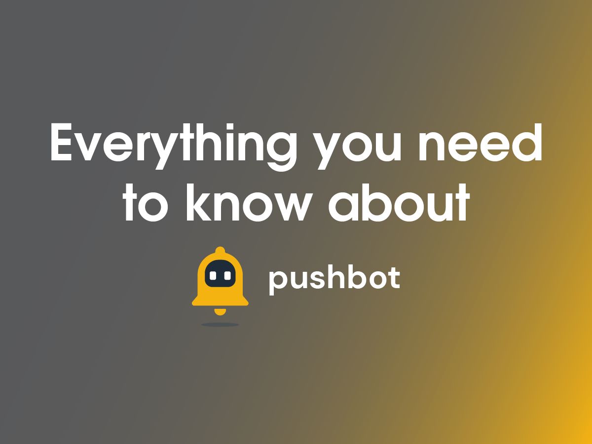Everything You Need to Know About Pushbot